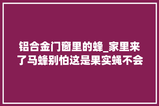 铝合金门窗里的蜂_家里来了马蜂别怕这是果实蝇不会进击人
