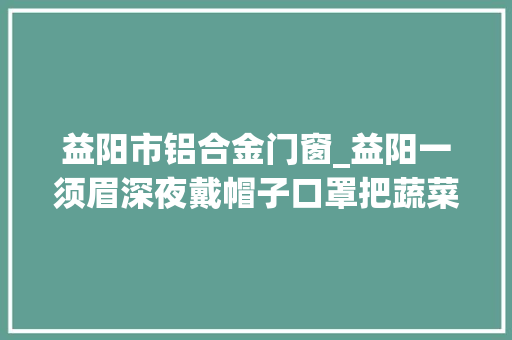 益阳市铝合金门窗_益阳一须眉深夜戴帽子口罩把蔬菜液化气罐铝合金门窗都偷了