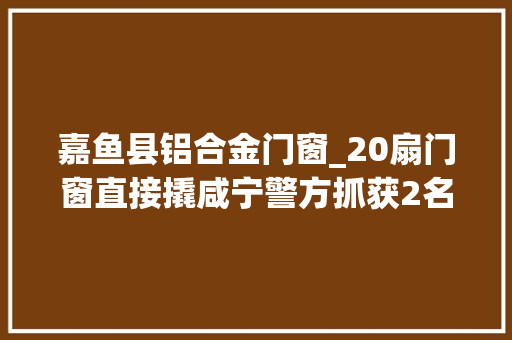 嘉鱼县铝合金门窗_20扇门窗直接撬咸宁警方抓获2名硬核窃贼