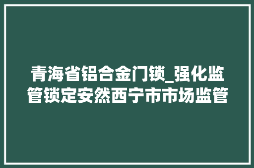 青海省铝合金门锁_强化监管锁定安然西宁市市场监管局开展电子门锁质量安然专项检查