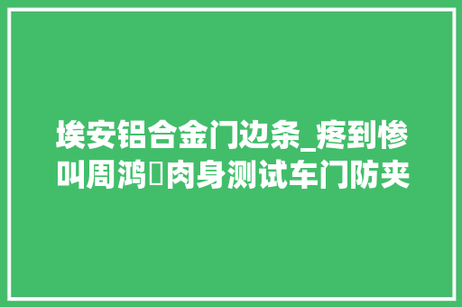 埃安铝合金门边条_疼到惨叫周鸿祎肉身测试车门防夹功能结果惨遭夹手 铝合金门