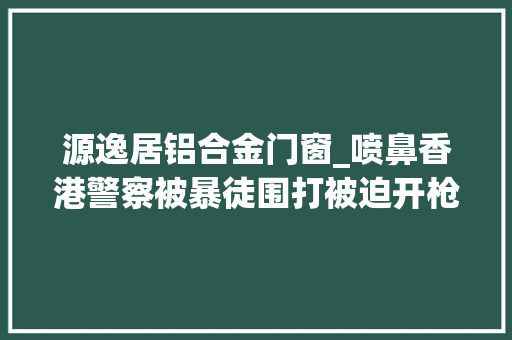 源逸居铝合金门窗_喷鼻香港警察被暴徒围打被迫开枪接下来记者的行为更过分