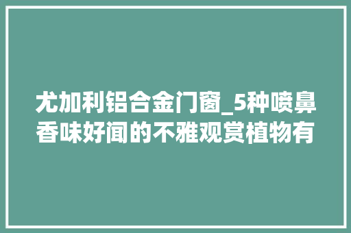 尤加利铝合金门窗_5种喷鼻香味好闻的不雅观赏植物有的叶子清香有的夜晚才有喷鼻香味