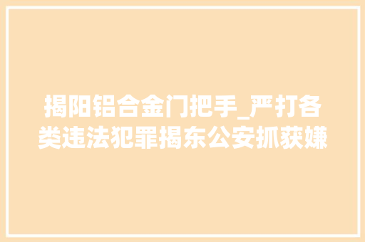 揭阳铝合金门把手_严打各类违法犯罪揭东公安抓获嫌疑人6名