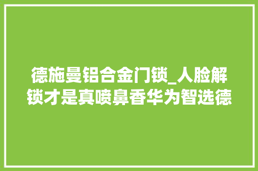 德施曼铝合金门锁_人脸解锁才是真喷鼻香华为智选德施曼智能门锁Pro评测