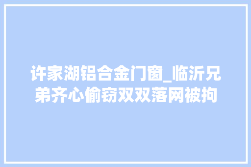 许家湖铝合金门窗_临沂兄弟齐心偷窃双双落网被拘 复合门