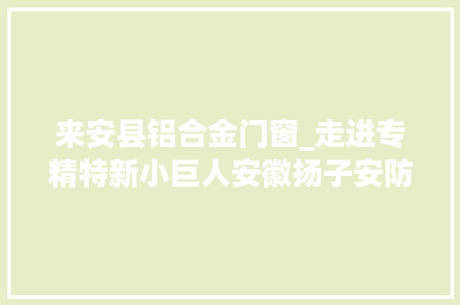 来安县铝合金门窗_走进专精特新小巨人安徽扬子安防 复合门