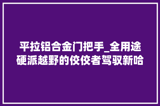 平拉铝合金门把手_全用途硬派越野的佼佼者驾驭新哈弗H5静享分歧凡响