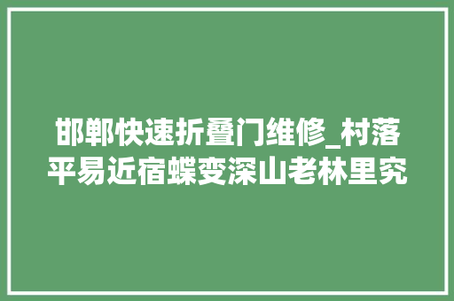 邯郸快速折叠门维修_村落平易近宿蝶变深山老林里究竟藏着若何的致富密码