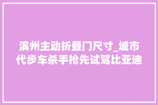 滨州主动折叠门尺寸_城市代步车杀手抢先试驾比亚迪海鸥