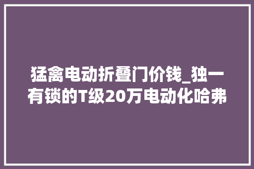 猛禽电动折叠门价钱_独一有锁的T级20万电动化哈弗猛禽震撼上市不负期待