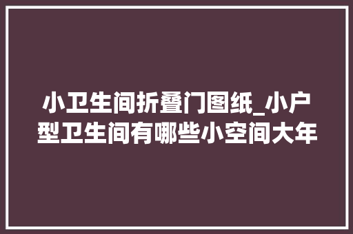 小卫生间折叠门图纸_小户型卫生间有哪些小空间大年夜运用的设计小技巧