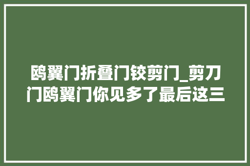 鸥翼门折叠门铰剪门_剪刀门鸥翼门你见多了最后这三种车门设计你肯定没见过