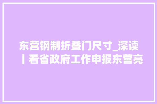 东营钢制折叠门尺寸_深读丨看省政府工作申报东营亮点展东营美好前景
