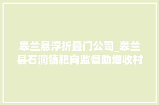 皋兰悬浮折叠门公司_皋兰县石洞镇靶向监督助增收村落振兴添活力