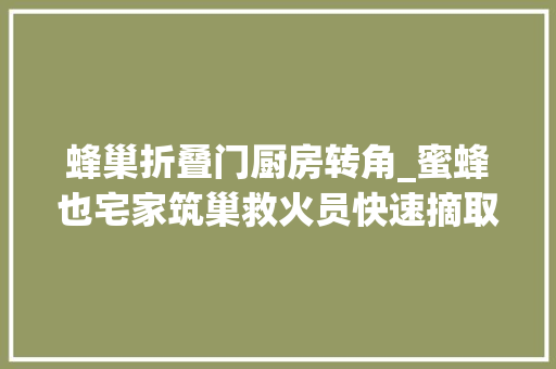 蜂巢折叠门厨房转角_蜜蜂也宅家筑巢救火员快速摘取橱柜蜂巢