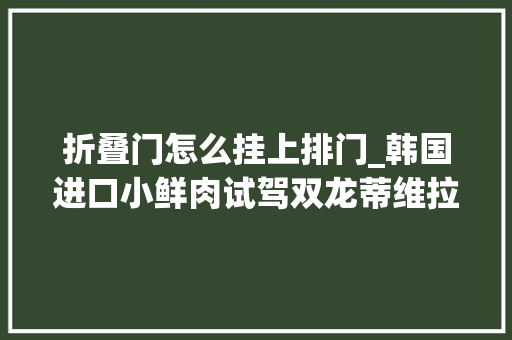 折叠门怎么挂上排门_韩国进口小鲜肉试驾双龙蒂维拉16L