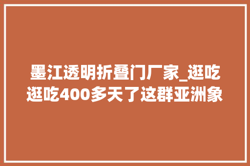墨江透明折叠门厂家_逛吃逛吃400多天了这群亚洲象还要去哪儿为何森林覆盖率变高栖息地却少了