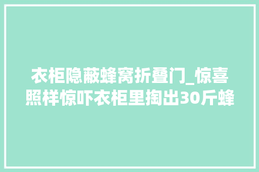 衣柜隐蔽蜂窝折叠门_惊喜照样惊吓衣柜里掏出30斤蜂窝竟是从这里进来的网友不用买蜂蜜了