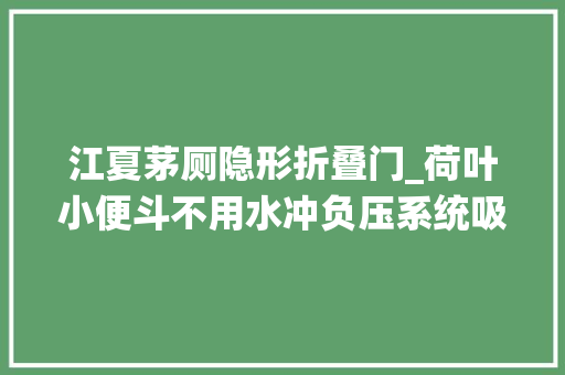 江夏茅厕隐形折叠门_荷叶小便斗不用水冲负压系统吸走异味江夏区172座聪慧公厕提档进级开放