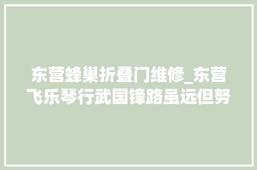 东营蜂巢折叠门维修_东营飞乐琴行武国锋路虽远但努力造就成功