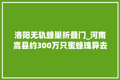 洛阳无轨蜂巢折叠门_河南嵩县约300万只蜜蜂瑰异去世亡部门介入查询访问