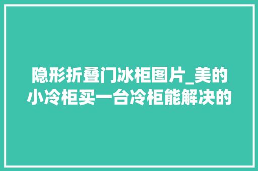 隐形折叠门冰柜图片_美的小冷柜买一台冷柜能解决的事为什么要离婚