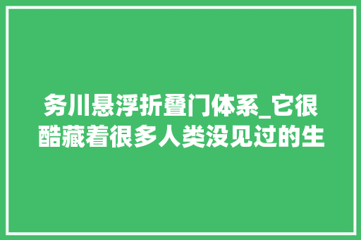 务川悬浮折叠门体系_它很酷藏着很多人类没见过的生物