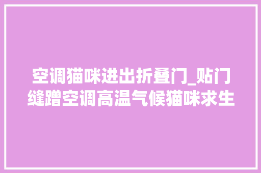空调猫咪进出折叠门_贴门缝蹭空调高温气候猫咪求生记不让我吹我自有办法