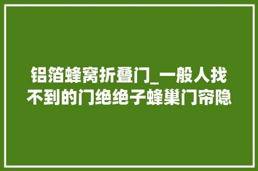 铝箔蜂窝折叠门_一般人找不到的门绝绝子蜂巢门帘隐形折叠推拉移门