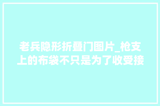 老兵隐形折叠门图片_枪支上的布袋不只是为了收受接收弹壳隐藏自己的踪迹更为重要
