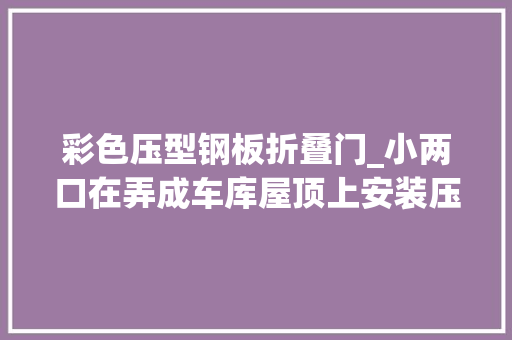 彩色压型钢板折叠门_小两口在弄成车库屋顶上安装压型板这改变了一切