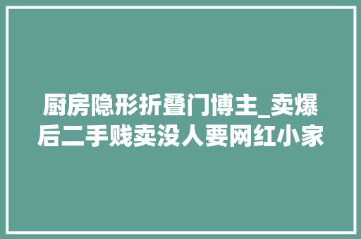 厨房隐形折叠门博主_卖爆后二手贱卖没人要网红小家电的精致税割不动了