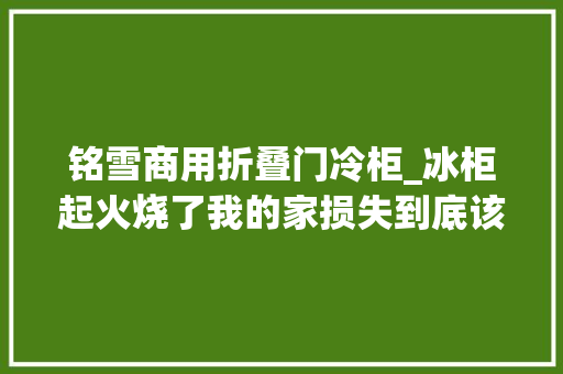 铭雪商用折叠门冷柜_冰柜起火烧了我的家损失到底该由谁来赔偿