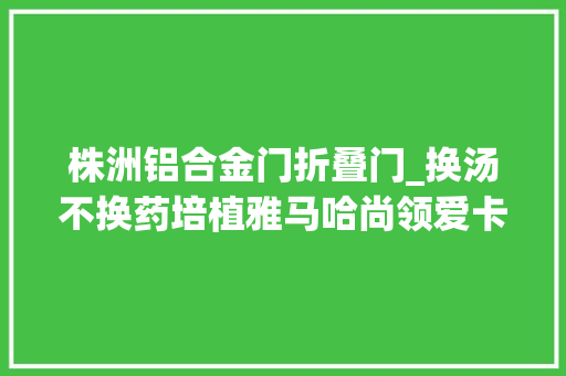 株洲铝合金门折叠门_换汤不换药培植雅马哈尚领爱卡实拍