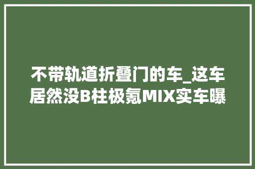 不带轨道折叠门的车_这车居然没B柱极氪MIX实车曝光开门办法比MEGA更个性