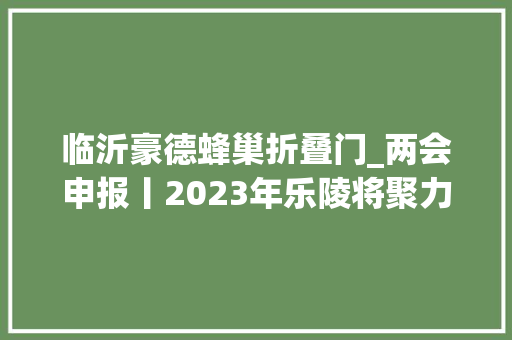 临沂豪德蜂巢折叠门_两会申报丨2023年乐陵将聚力实施这十二项重点工程