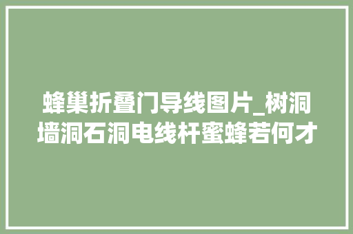 蜂巢折叠门导线图片_树洞墙洞石洞电线杆蜜蜂若何才能收出来养蜂技能分享