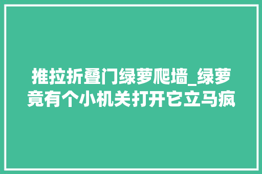 推拉折叠门绿萝爬墙_绿萝竟有个小机关打开它立马疯长拦不住