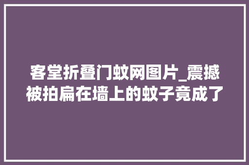 客堂折叠门蚊网图片_震撼被拍扁在墙上的蚊子竟成了犯罪现场的目击证人