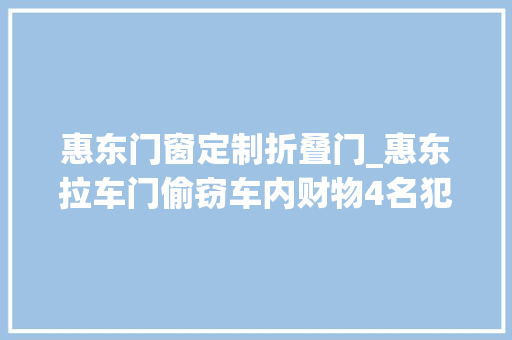 惠东门窗定制折叠门_惠东拉车门偷窃车内财物4名犯罪嫌疑人落网