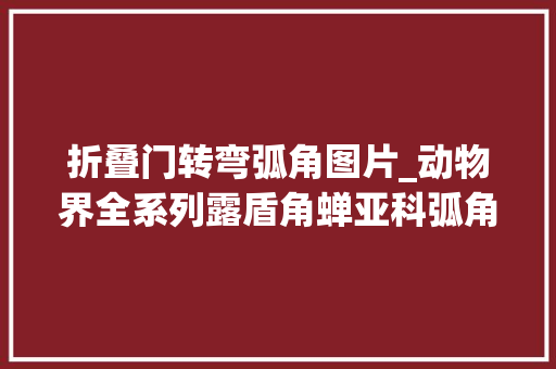 折叠门转弯弧角图片_动物界全系列露盾角蝉亚科弧角蝉族下褶角蝉