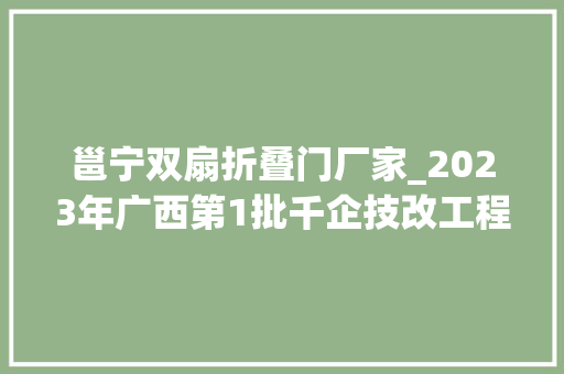 邕宁双扇折叠门厂家_2023年广西第1批千企技改工程项目南宁137项第3部分
