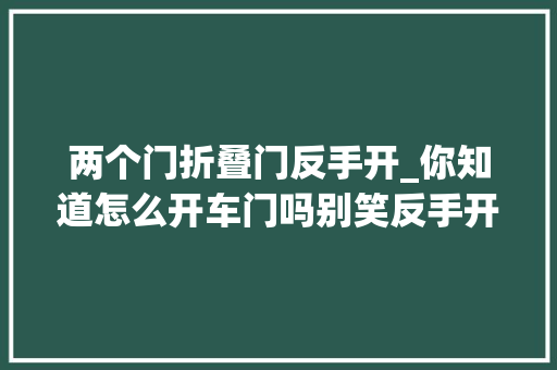 两个门折叠门反手开_你知道怎么开车门吗别笑反手开车门理解一下