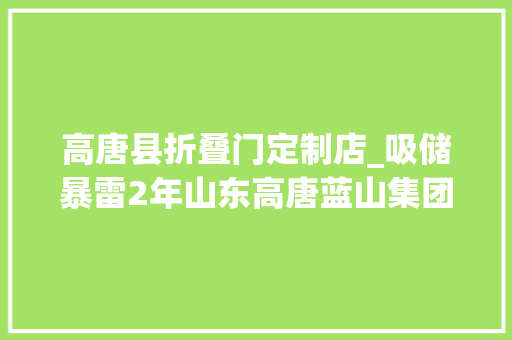 高唐县折叠门定制店_吸储暴雷2年山东高唐蓝山集团以楼抵债