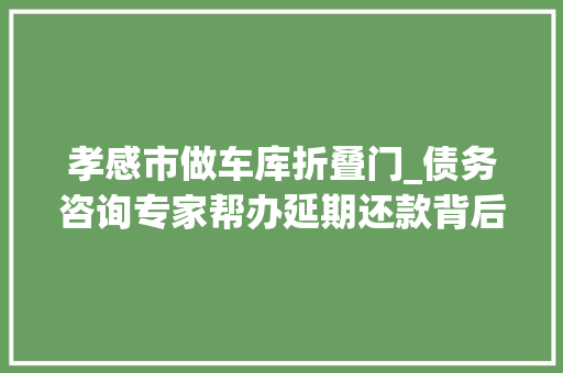 孝感市做车库折叠门_债务咨询专家帮办延期还款背后有何套路