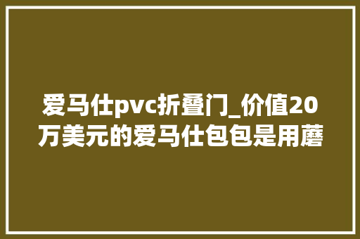 爱马仕pvc折叠门_价值20万美元的爱马仕包包是用蘑菇做的你还会买吗