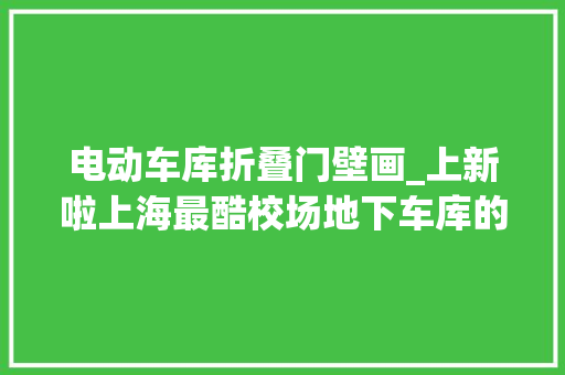 电动车库折叠门壁画_上新啦上海最酷校场地下车库的涂鸦墙放飞青春妄图