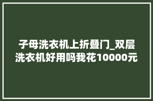子母洗衣机上折叠门_双层洗衣机好用吗我花10000元买了一台用过几回正推敲退货