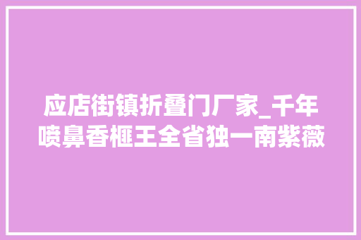应店街镇折叠门厂家_千年喷鼻香榧王全省独一南紫薇诸暨这些树王你见过几棵